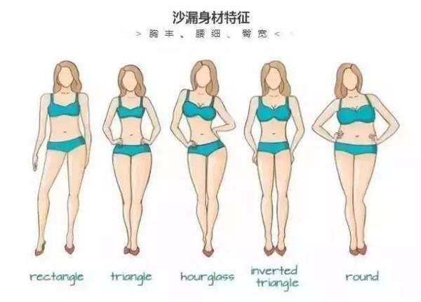 Body type